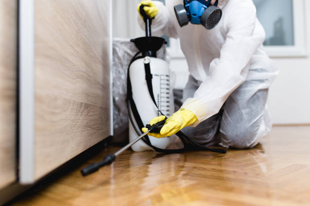 Best Exterminator Services  in Wildewood, MD