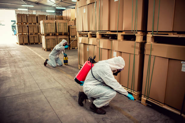 Best Wasp Removal Services  in Wildewood, MD