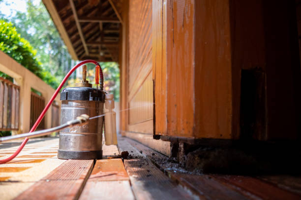 Best Cockroach Control Services  in Wildewood, MD
