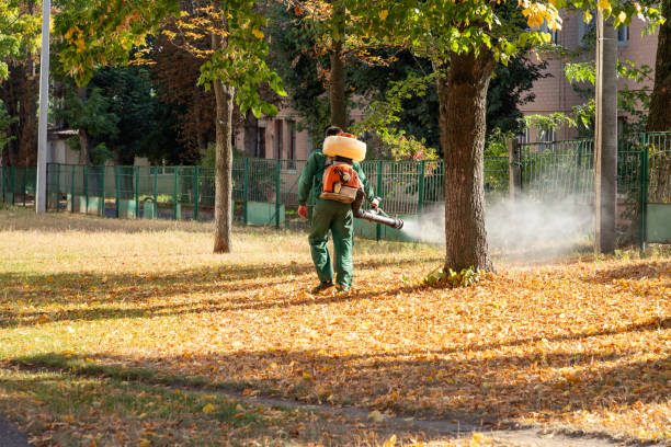 Best Pest Control Treatment  in Wildewood, MD