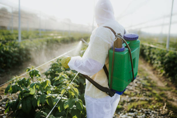 Wildewood, MD Pest Control Company